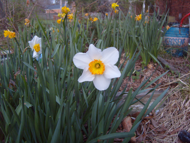 A pretty face with some uglies hanging around.