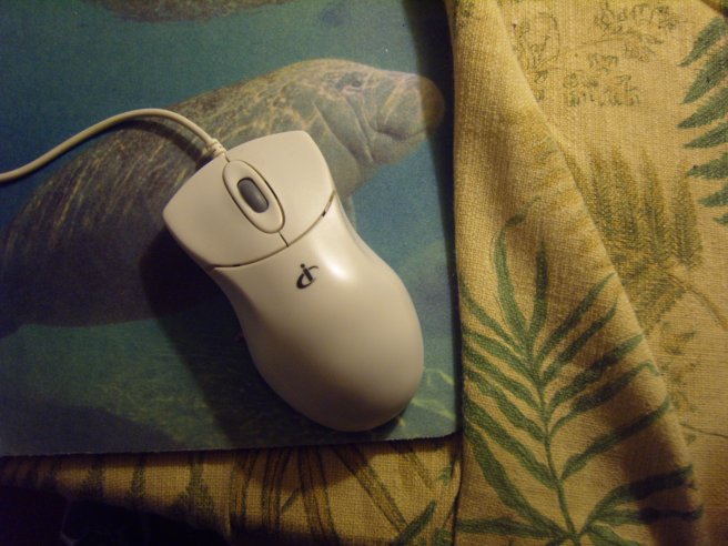 A mouse. Scratch its ears, squeeze it, carress it and the world is yours.